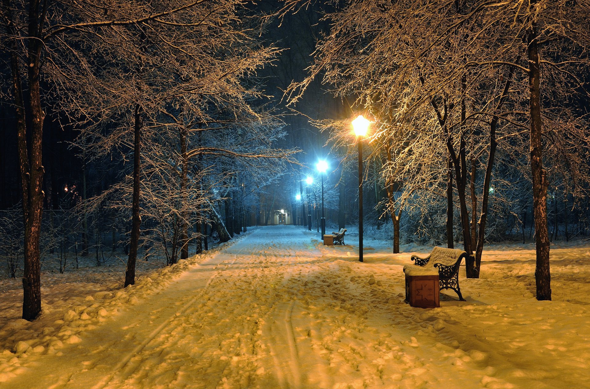 romantic-evening-benches-bench-seat-winter-snowy-park-road-park-nature-beautiful-scene-landscape-lamppost-lamp-night-midnight-lights-mood-a-romantic-evening-benches-bench-seats-winter-snow-park-road-p